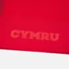 Camicie da casa del Welsh Rugby 2025/26 Camicie da casa del Welsh Rugby 2025/26