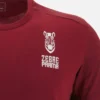 Camicie da viaggio per adulti Zebre Parma 2025/26