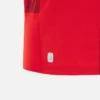 Camicie replica da casa del Welsh Rugby 2025/26