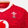 Camicie replica Welsh Rugby 2025/26 Home Pathway