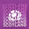 Felpa casual Scottish Rugby 2025/26 Felpa casual Scottish Rugby 2025/26