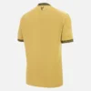 Maglia da gioco terza per adulti del Crystal Palace FC 2025/26 Maglia da gioco terza per adulti del Crystal Palace FC 2025/26