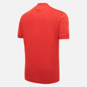 Maglia Hannover 96 2025/26 Edizione Speciale Maglia Hannover 96 2025/26 Edizione Speciale