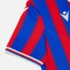 Maglia vintage da uomo Crystal Palace 2025/26 in edizione limitata di maglie Maglia vintage da uomo Crystal Palace 2025/26 in edizione limitata di maglie