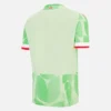 Maglie da gioco terza per adulti del Reading FC 2025/26 Maglie da gioco terza per adulti del Reading FC 2025/26