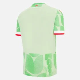 Maglie da gioco terza per adulti del Reading FC 2025/26