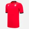 Maglie da gioco terza per adulti della Federazione calcistica georgiana 2025/26 Maglie da gioco terza per adulti della Federazione calcistica georgiana 2025/26