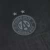 Maglie FK Austria Wien 2025/26 Edizione Speciale