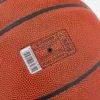Pallone Rhenium N.7 Pallone Rhenium N.7