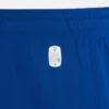 Pantaloncini da partita per adulti PAOK FC 2025/26 Pantaloncini da partita per adulti PAOK FC 2025/26