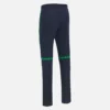 Pantaloni da partita T-20 per adulti della squadra di cricket dell’Irlanda 2026/28 Pantaloni da partita T-20 per adulti della squadra di cricket dell’Irlanda 2026/28