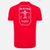 T-Shirt da tifoso Welsh Rugby 2025/26 rossa T-Shirt da tifoso Welsh Rugby 2025/26 rossa
