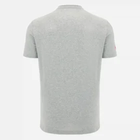 T-Shirt in cotone per adulti Unibo Collection Grigio Melange