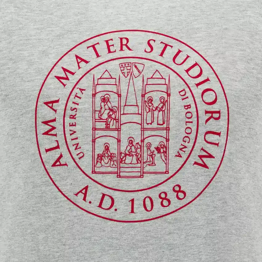 T-Shirt in cotone per adulti Unibo Collection Grigio Melange T-Shirt in cotone per adulti Unibo Collection Grigio Melange