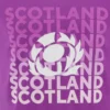 T-Shirt viola Scottish Rugby 2025/26 T-Shirt viola Scottish Rugby 2025/26